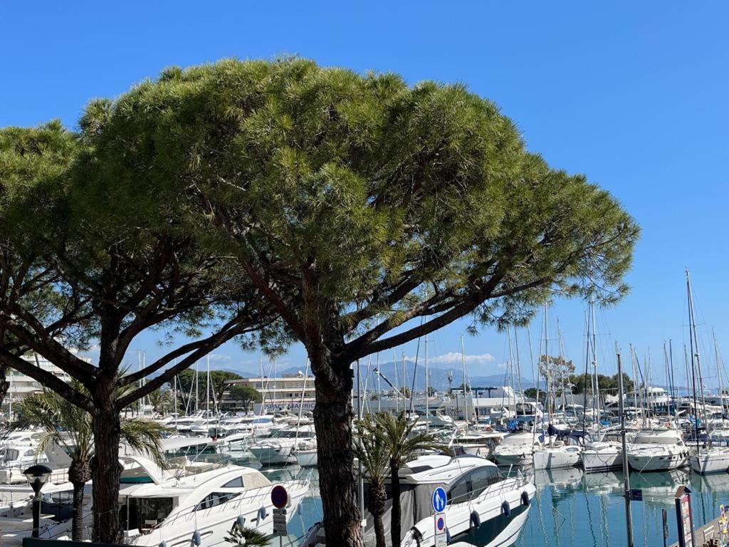 4 Pers , 100M De La Plage Marina Baie Des Anges French Riviera Villeneuve-Loubet Dış mekan fotoğraf